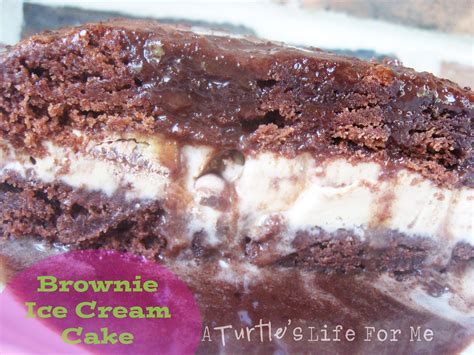 Brownie Ice Cream Cake With Hot Fudge Sauce A Turtles Life For Me
