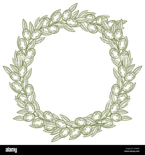 Olive Laurel Wreath And Branch Hand Drawn Vector Illustration Leave