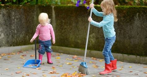 Cleaning Your Yard Extra Activities Educatall