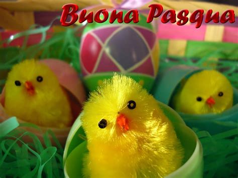 These sentences come from external sources and may not be accurate. Auguri con immagini buona Pasqua 2018 e GIF divertenti per ...