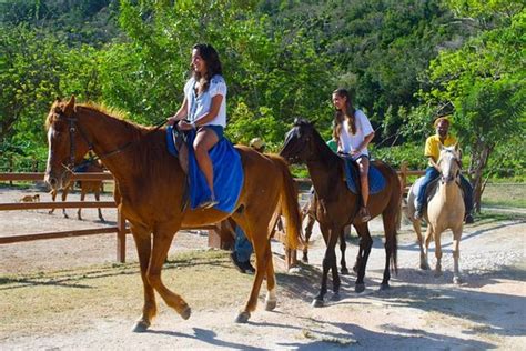 Tripadvisor Horseback Riding From Runaway Bay And Ocho Rios Provided