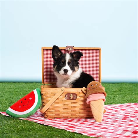 Watermelon Plush Dog Toy Canine Compassion Bandanas