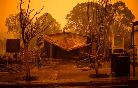 From The Ashes The Long Road To Bushfire Recovery