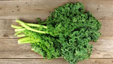 Know Why Kale Is Good For Health Healthy Eating News Zee News