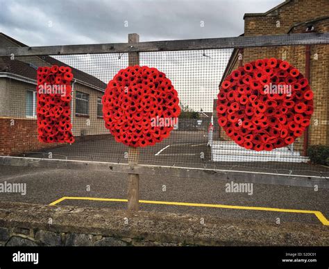 Poppies Mark The Centenary Of The End Of World War I At Milton