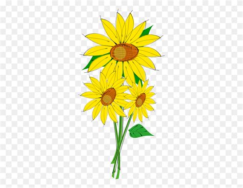Sunflower Find And Download Best Transparent Png Clipart Images At