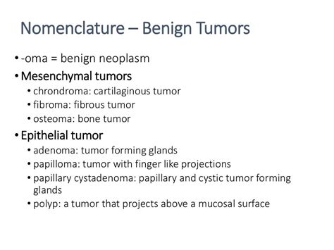 Benign And Malignant Tumor Comparison