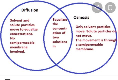 Differences And Similarities Between Simple Diffusion Facilitated