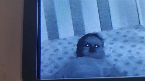‘demon Baby Parents Terrifying Baby Monitor Photo Goes Viral