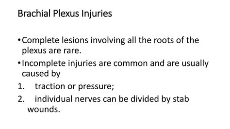Solution Brachial Plexus Injuries Studypool