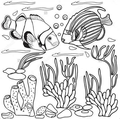 5 Sea Animal Templates Free Printable Crafts And Colouring Pages