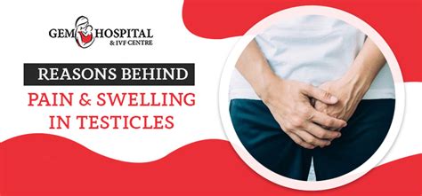 Reasons Behind Pain Swelling In Testicles