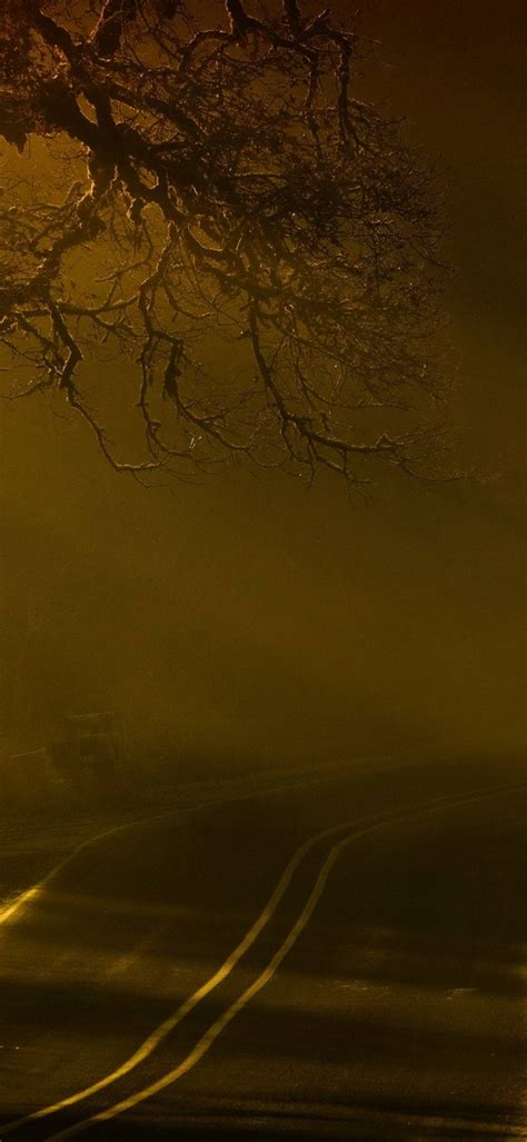 Road Night Fog 1080x2340