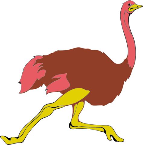 Ostrich clipart emu, Ostrich emu Transparent FREE for download on ...