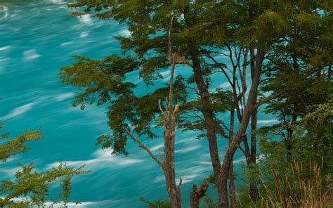 Nature Turquoise River Chile Trees Water Summer South America