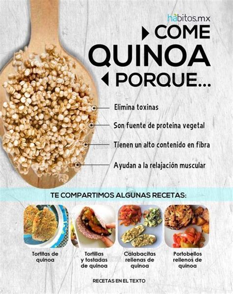 Quinoa Y Sus Beneficios Artofit