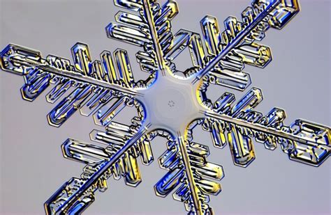 The Art And Science Of Growing Snowflakes In A Lab Science