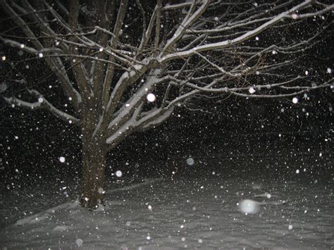 Snow Falling At Night Snow Black And White Snowfall