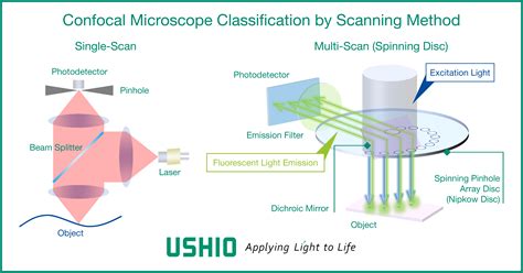 High Resolution Confocal Laser Scanning Microscopy Ushio Europe Bv
