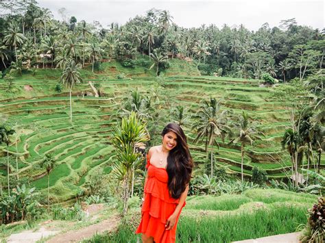 Visiting Ubud’s Tegalalang Rice Terraces Bali Itinerary And Travel