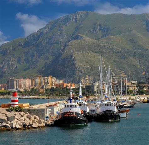 We did not find results for: Sizilien: Müllberge in Palermo wecken Angst vor Epidemien ...