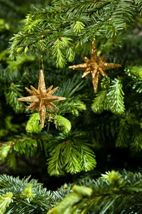 Christmas Ornament Straw Star Stock Photo Image Of Macro Ornament