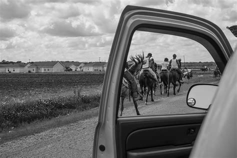 black and white photo horses through car door, lsu photography faculty work