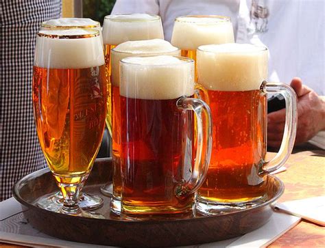 5 Beer Brands You Must Try on Your Visit to the Czech Republic