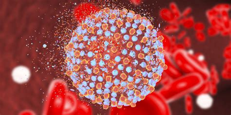 Hepatitis C All Adults In Us Under 80 Should Be Tested Scope