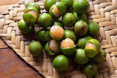 15 Mexico Fruits That You Should Try While Visiting Swedish Nomad