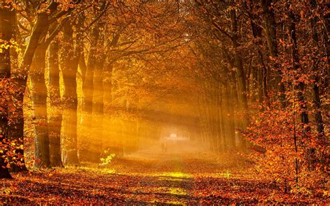 Beautiful Autumn Wallpapers The Wow Style