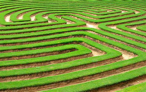 Best Green Maze Stock Photos Pictures And Royalty Free Images Istock