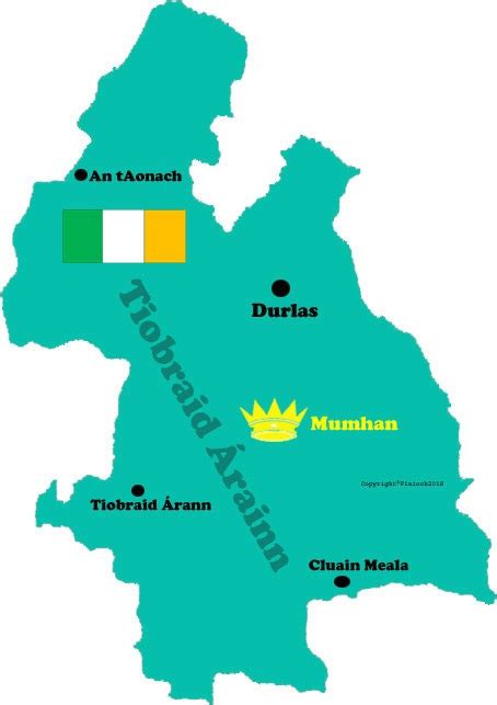 Tipperary County Map With Towns And Flag