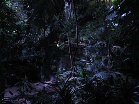 Biodomes Tropical Rainforests At Night At The Moonlit Eve Flickr