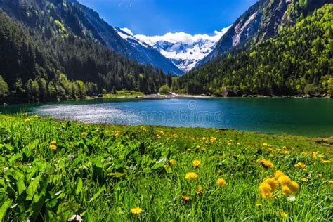 Amazing Mountain Landscape With Lake And Meadow Flowers In Foreground