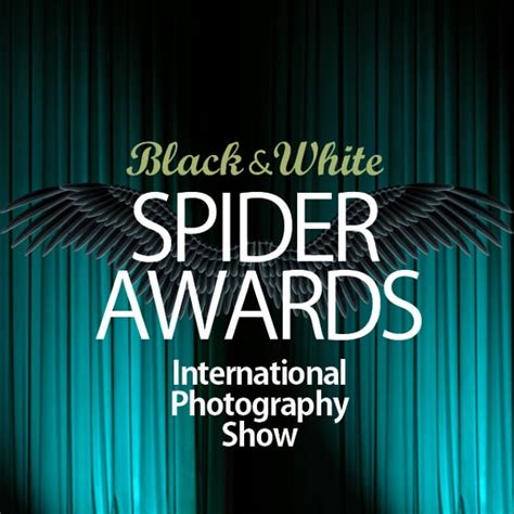 Black And White Spider Awards