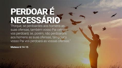 Carta De Perdão Para Uma Pessoa Especial