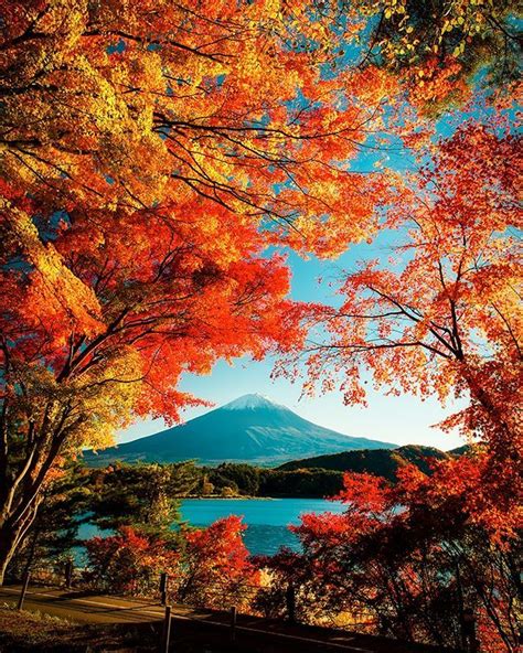 Autumn Near Mount Fuji Perfection Japan Autumn In Japan Mount