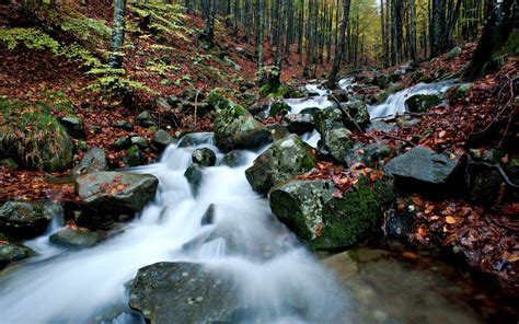 Mountain Stream In Autumn Gray Rocks With Green Moss Ground Covered