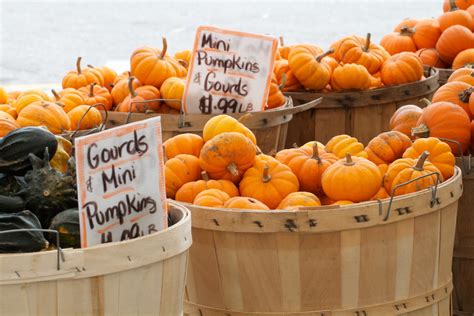 a bounty of choices at the farmers market with an acorn squash soup recipe pop and thistle