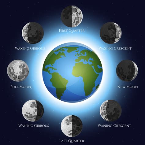 Fases De La Luna Moon Activities Moon Phases Moon