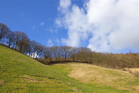 Grassy Hillside With Trees Stock Photo Image Of Blue 39405278