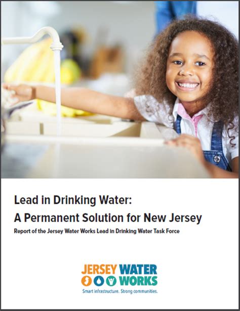 Lead In Drinking Water A Permanent Solution For New Jersey New