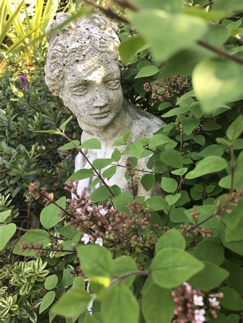 Statue Wrapped In Lilac Statue Garden Sculpture Garden