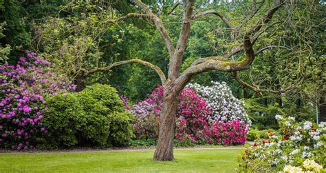 25 Best Botanical Gardens To Visit On A Romantic Weekend Getaway