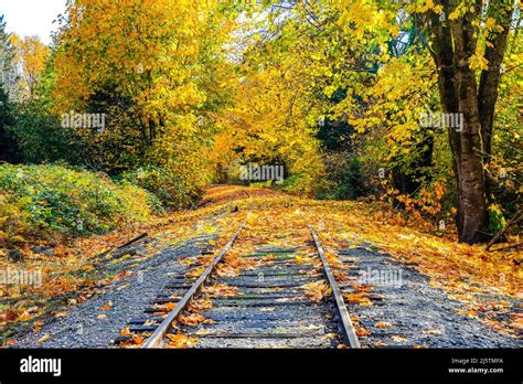 Autumn Leaves On Railroad Tracks Stock Photo Alamy