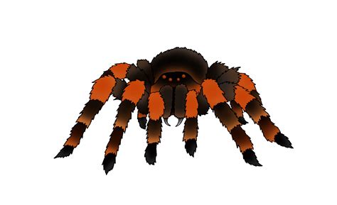 Spider Clipart Animation Spider Animation Transparent Free For