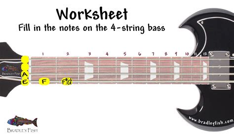 String Bass Guitar Notes