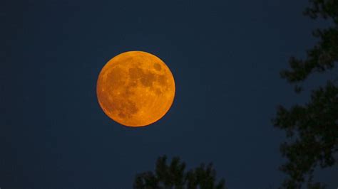 The First Full Moon Of August 2020 Featured