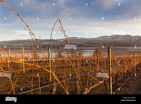 Okanagan Valley Winter Hi Res Stock Photography And Images Alamy